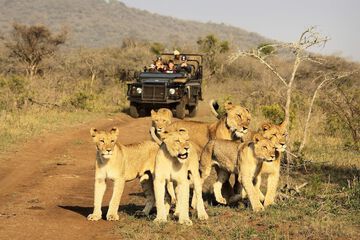 Game drive