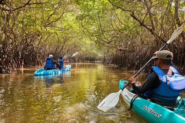Kayaking