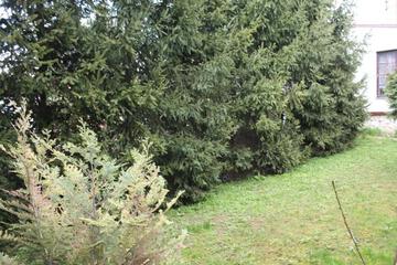 Photo 73