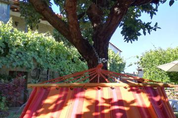 Photo 35