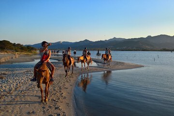 Horseback riding