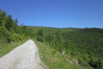 Photo 27