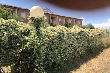 Photo 29