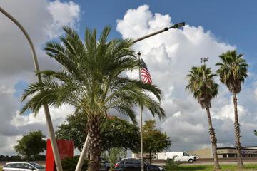 Photo 22