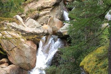 Photo 35