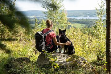 Hiking