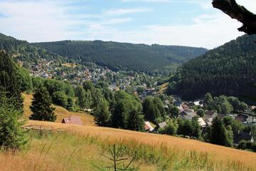Photo 45