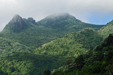 Ecotours