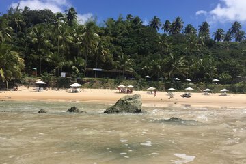 Beach bar
