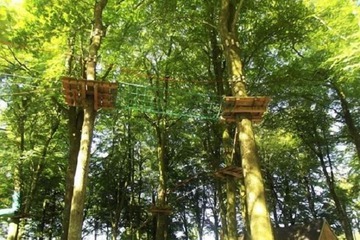 Ropes course (team building)
