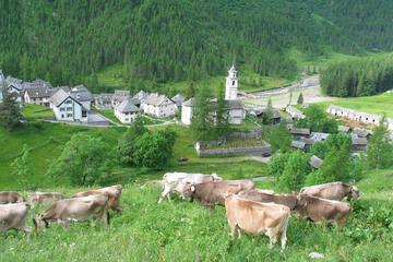 Photo 34