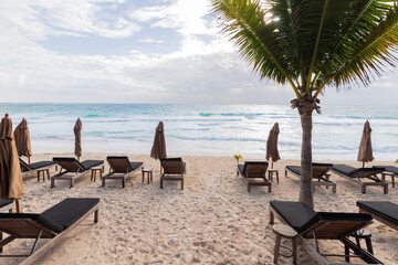 Beach bar