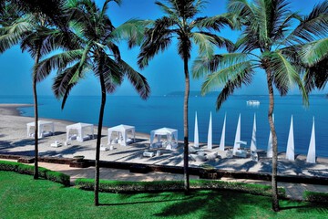 Outdoor wedding area