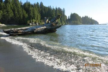 Photo 53