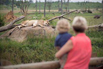 Children's activities