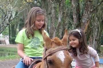 Children's activities