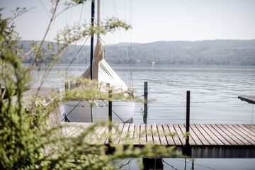 Lake view