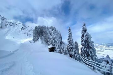 Snowshoeing