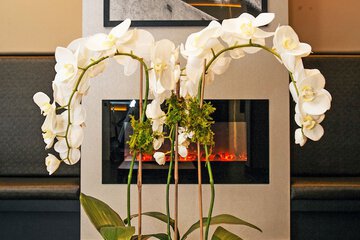 Health and Fitness 45 of 52