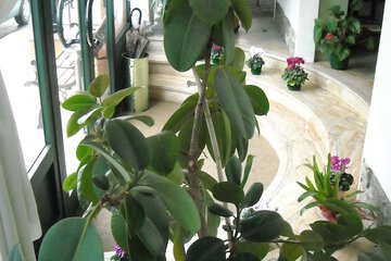 Interior detail