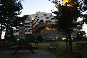 Photo 46