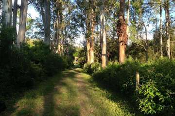 Hiking