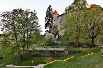 Photo 50