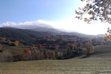 Land view from property