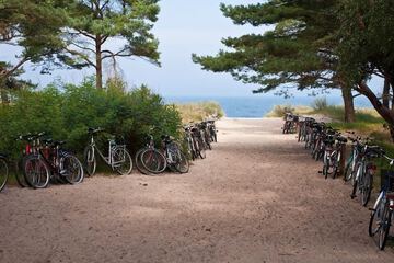 Bicycling