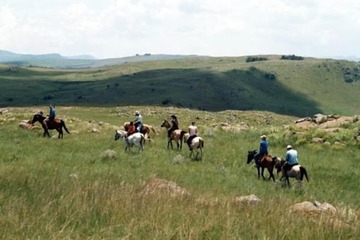 Horseback riding