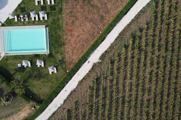 Winery