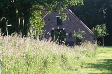 Photo 28