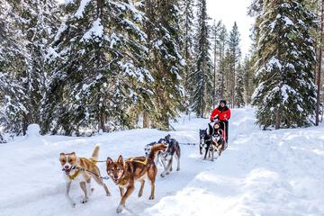 Sledding