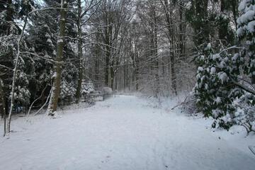 Photo 34