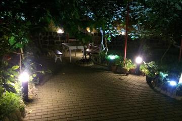 Photo 41