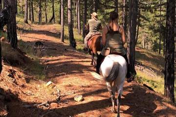 Horseback riding