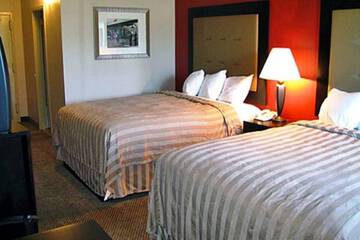 Suite Room