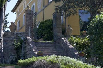 Photo 26