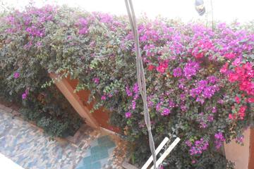 Photo 55