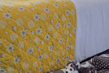 Pet-friendly amenities