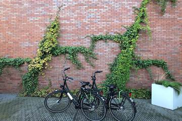 Bicycling
