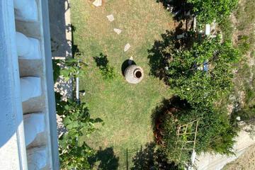 Photo 34