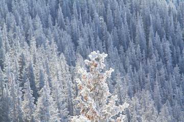 Ski hill