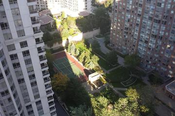 Photo 31