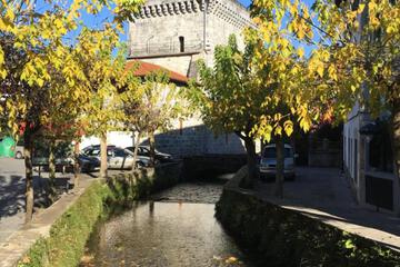 Photo 12