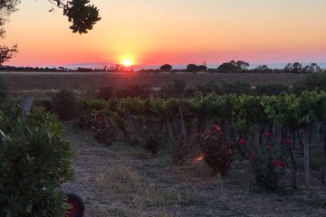 Winery