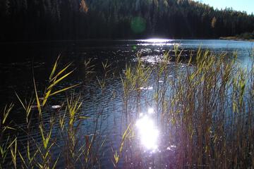 Photo 32
