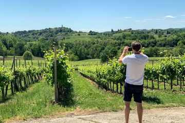 Vineyard