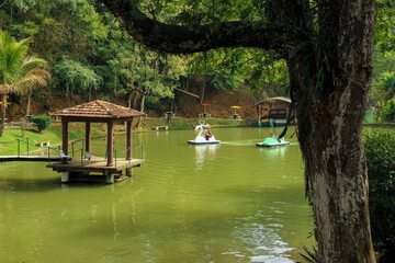 Children's activities