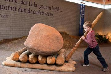 Photo 25